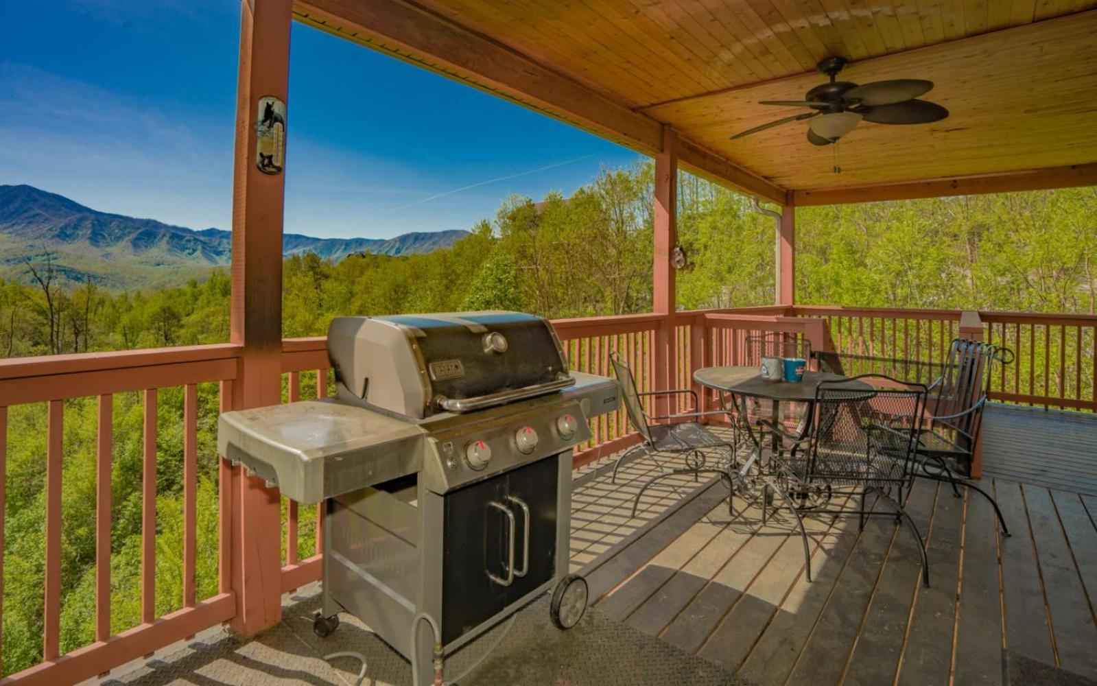 גטלינבורג Beartastic Mountain View Lodge מראה חיצוני תמונה
